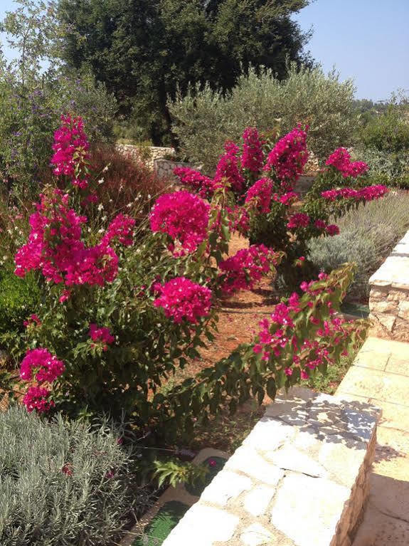 Korallis Villas Livathos  Dış mekan fotoğraf